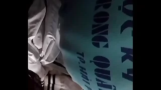 Happy-go-lucky b&uacute; cu